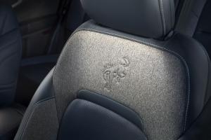 Ford Bronco Sport Badlands Preproduction 2020 года 